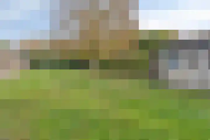 Burg. Van Ginnekenstraat 11 Budel thumbnail 35