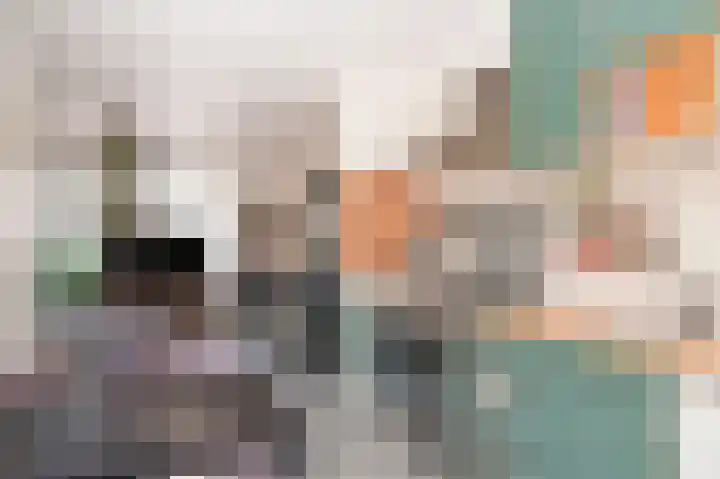 Burg. van Goelst Meijerweg 3 Rossum thumbnail 13