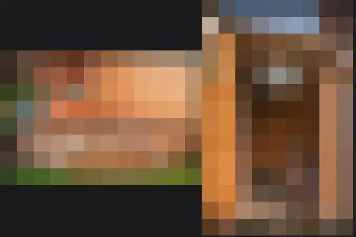 Burg. van Goelst Meijerweg 3 Rossum thumbnail 21