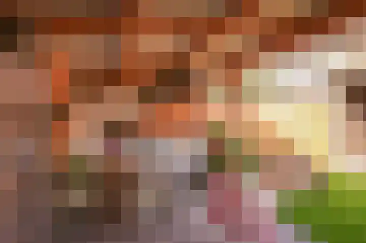 Burg. van Goelst Meijerweg 3 Rossum thumbnail 23