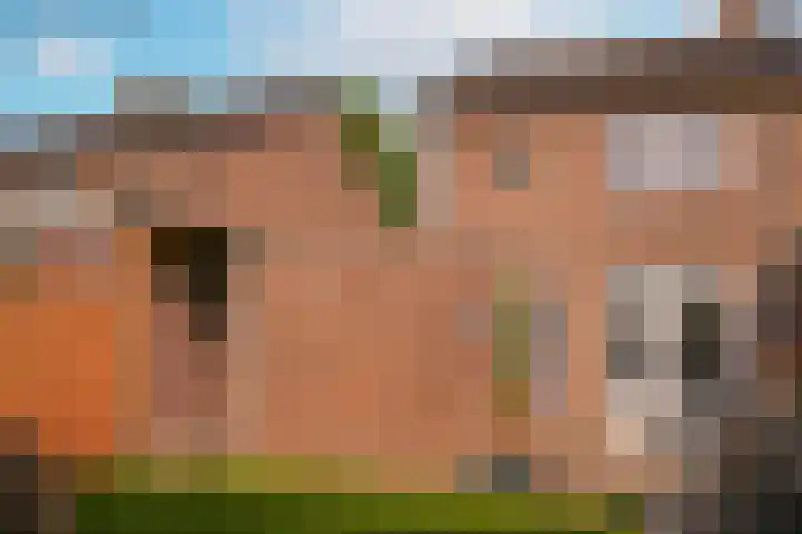 Burg. van Goelst Meijerweg 3 Rossum thumbnail 25