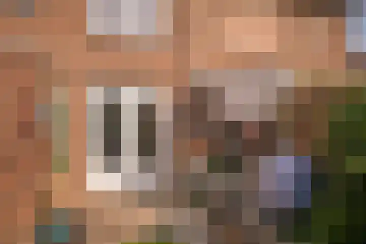 Burg. van Goelst Meijerweg 3 Rossum thumbnail 26