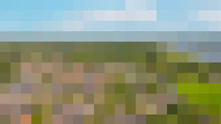 Burg. van Goelst Meijerweg 3 Rossum thumbnail 31