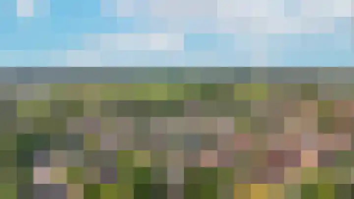 Burg. van Goelst Meijerweg 3 Rossum thumbnail 33