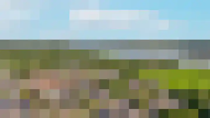 Burg. van Goelst Meijerweg 3 Rossum thumbnail 4