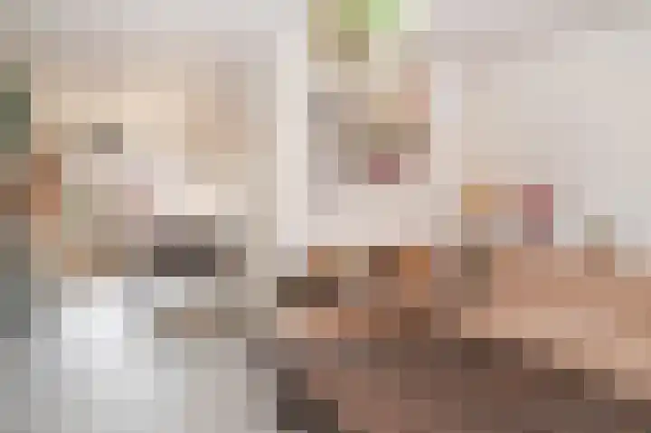 Burg. van Goelst Meijerweg 3 Rossum thumbnail 6
