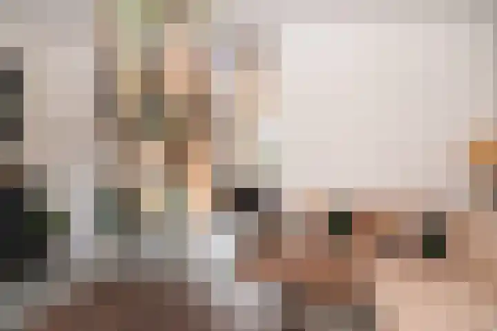 Burg. van Goelst Meijerweg 3 Rossum thumbnail 7