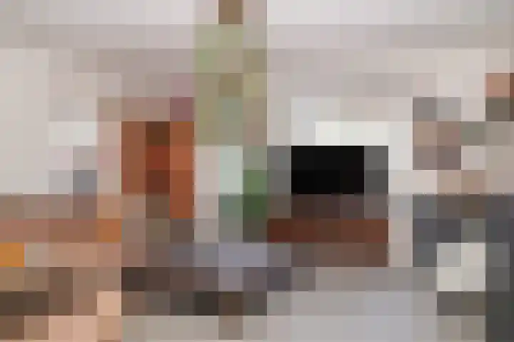 Burg. van Goelst Meijerweg 3 Rossum thumbnail 8