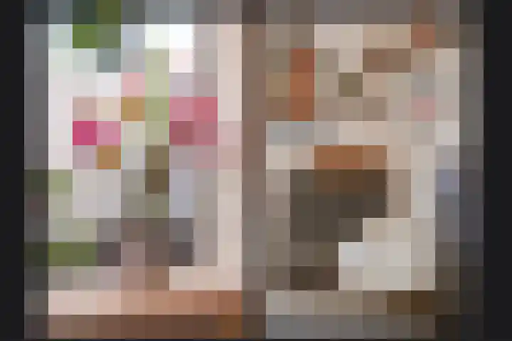 Burg. van Goelst Meijerweg 3 Rossum thumbnail 9
