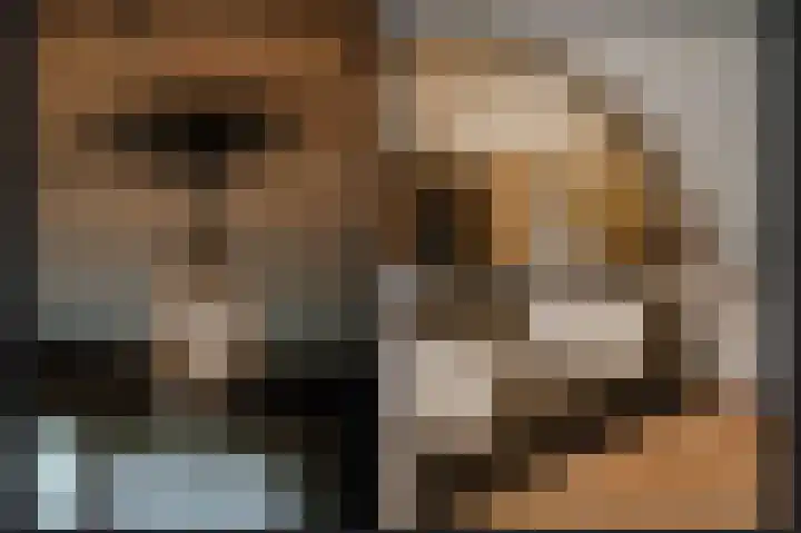 Burg. van Goelst Meijerweg 5 Rossum thumbnail 13