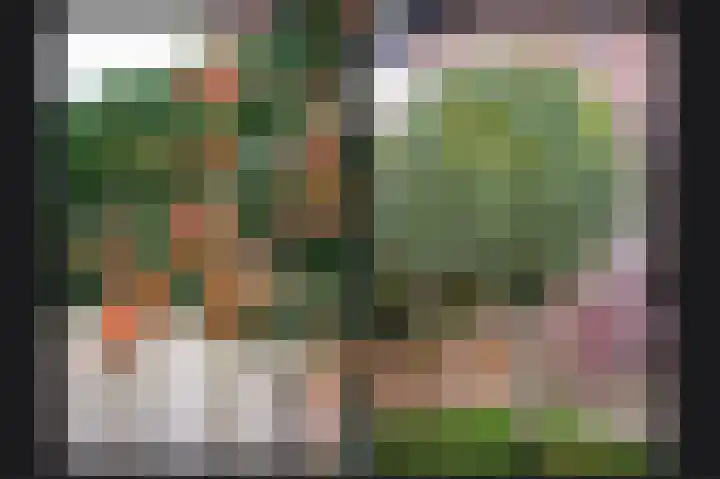 Burg. van Goelst Meijerweg 5 Rossum thumbnail 32