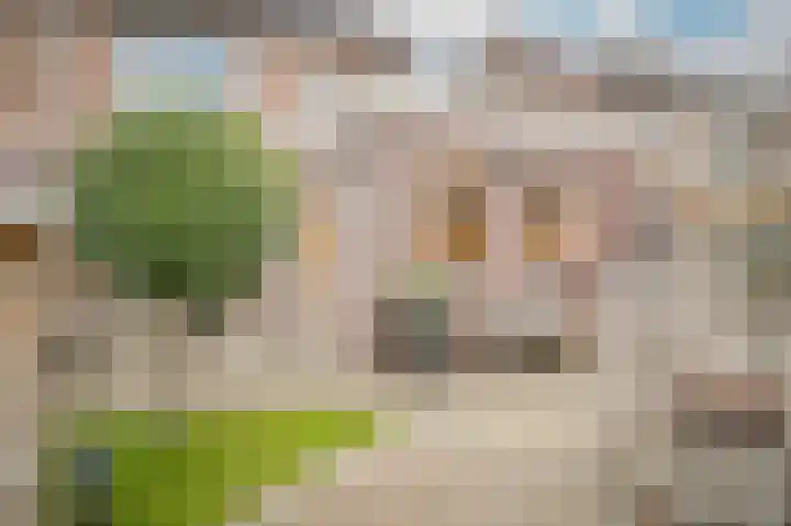 Burg. van Goelst Meijerweg 5 Rossum thumbnail 35