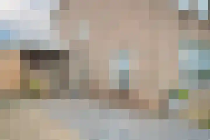 Burg. van Goelst Meijerweg 5 Rossum thumbnail 38