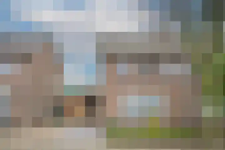 Burg. van Goelst Meijerweg 5 Rossum thumbnail 40
