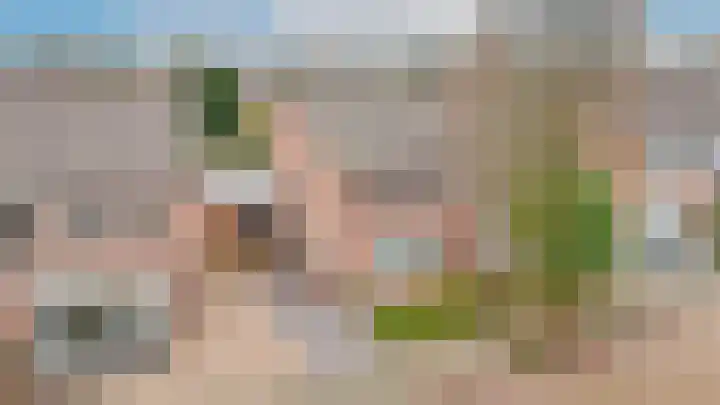 Burg. van Goelst Meijerweg 5 Rossum thumbnail 43