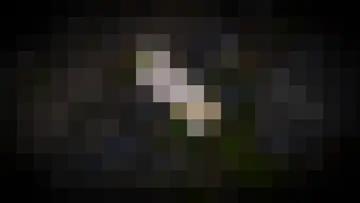 Burg. van Goelst Meijerweg 5 Rossum thumbnail 44