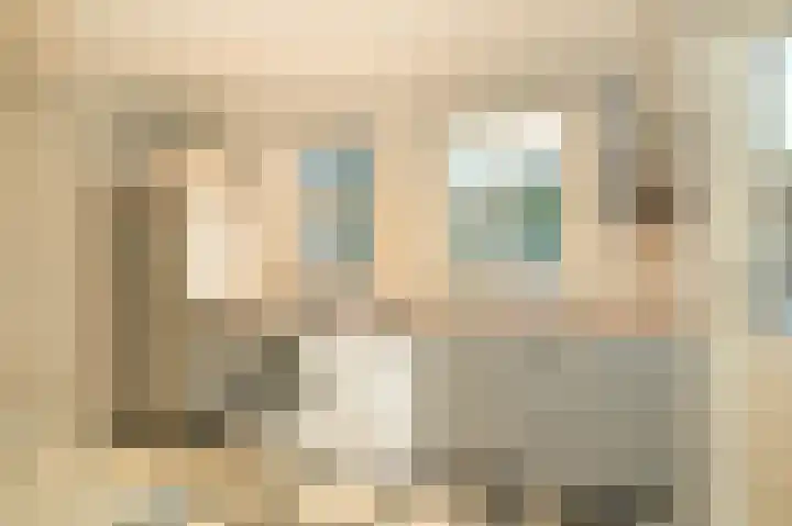 Burg. van Goelst Meijerweg 5 Rossum thumbnail 6