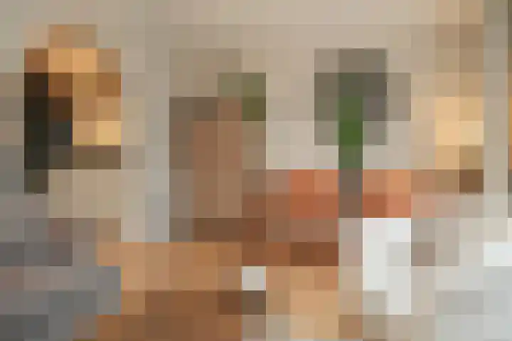 Burg. van Goelst Meijerweg 5 Rossum thumbnail 9