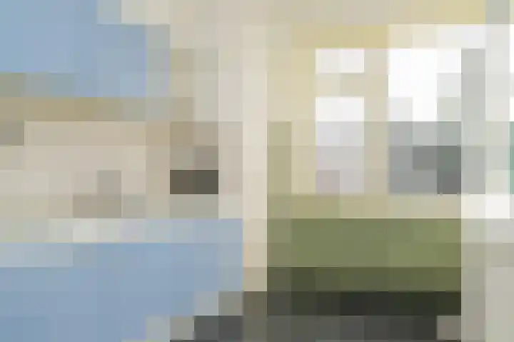 Burg. van Goelst Meijerweg 7 Rossum thumbnail 11
