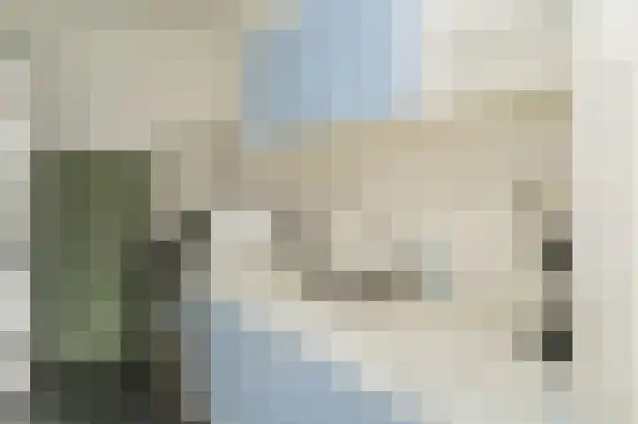 Burg. van Goelst Meijerweg 7 Rossum thumbnail 12