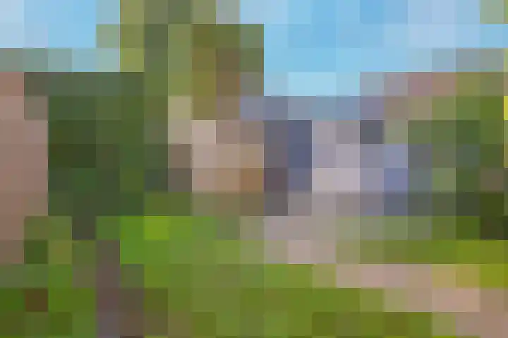 Burg. van Goelst Meijerweg 7 Rossum thumbnail 24
