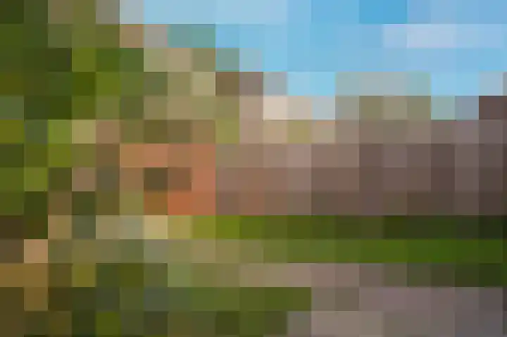 Burg. van Goelst Meijerweg 7 Rossum thumbnail 27