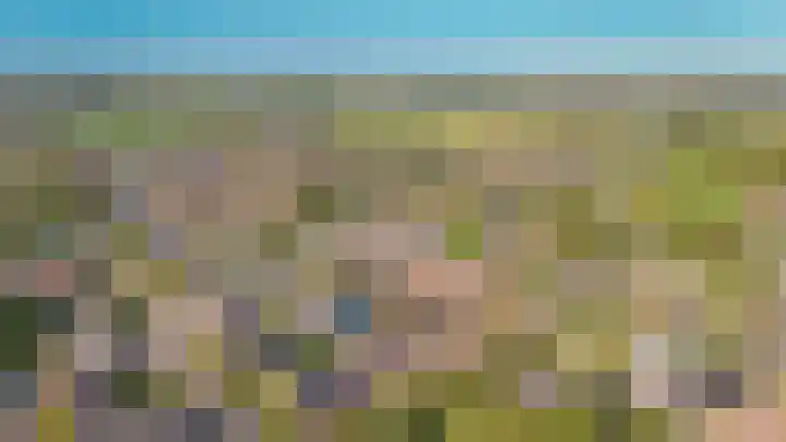 Burg. van Goelst Meijerweg 7 Rossum thumbnail 34