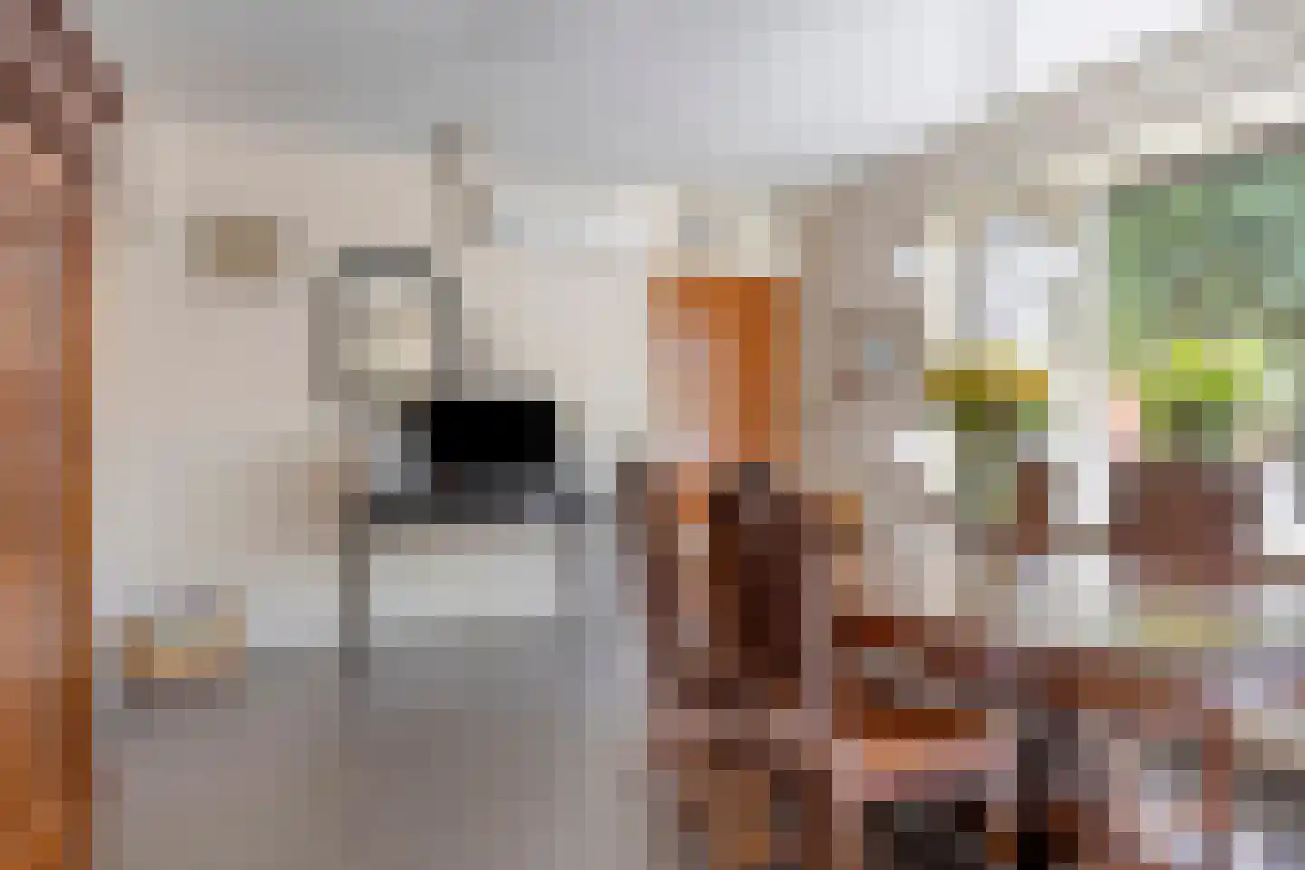 Burg van Gorselstraat 12 Rilland thumbnail 13