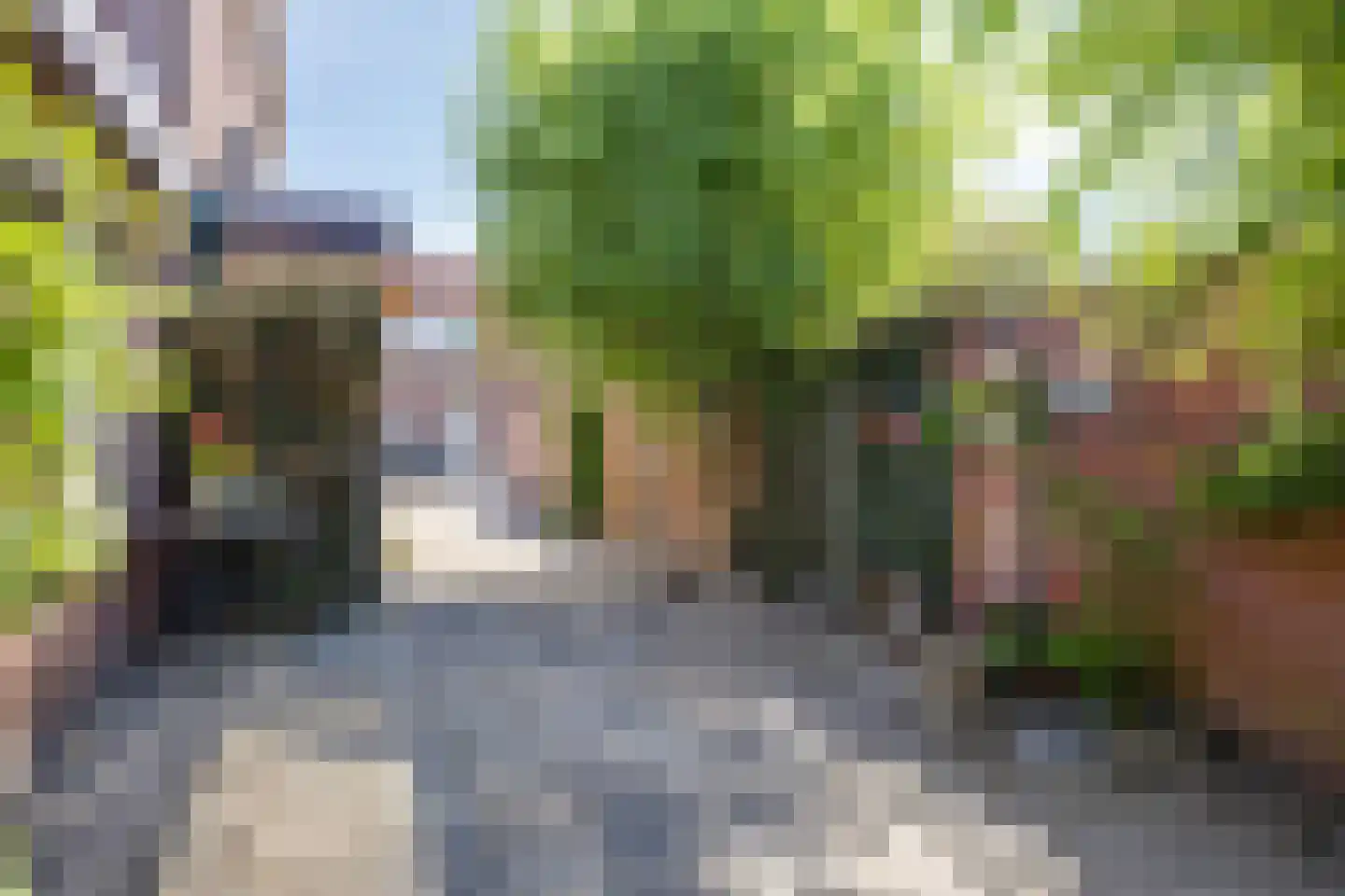 Burg van Gorselstraat 12 Rilland thumbnail 45