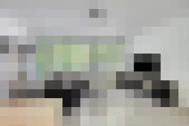 Burg. van Grunsvenplein 63 Heerlen thumbnail 13