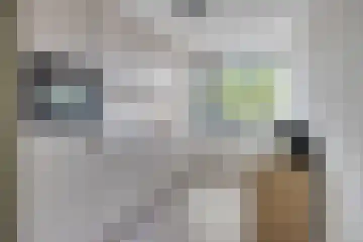 Burg. van Grunsvenplein 63 Heerlen thumbnail 14