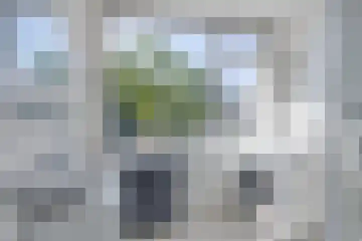 Burg. van Grunsvenplein 63 Heerlen thumbnail 18