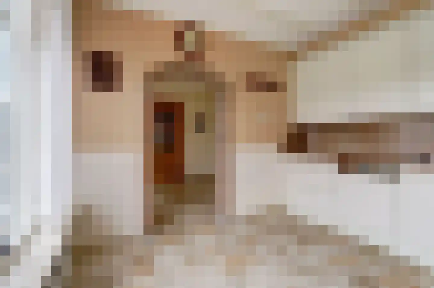 Burg. van Haarenstraat 6 Kerkdriel thumbnail 10