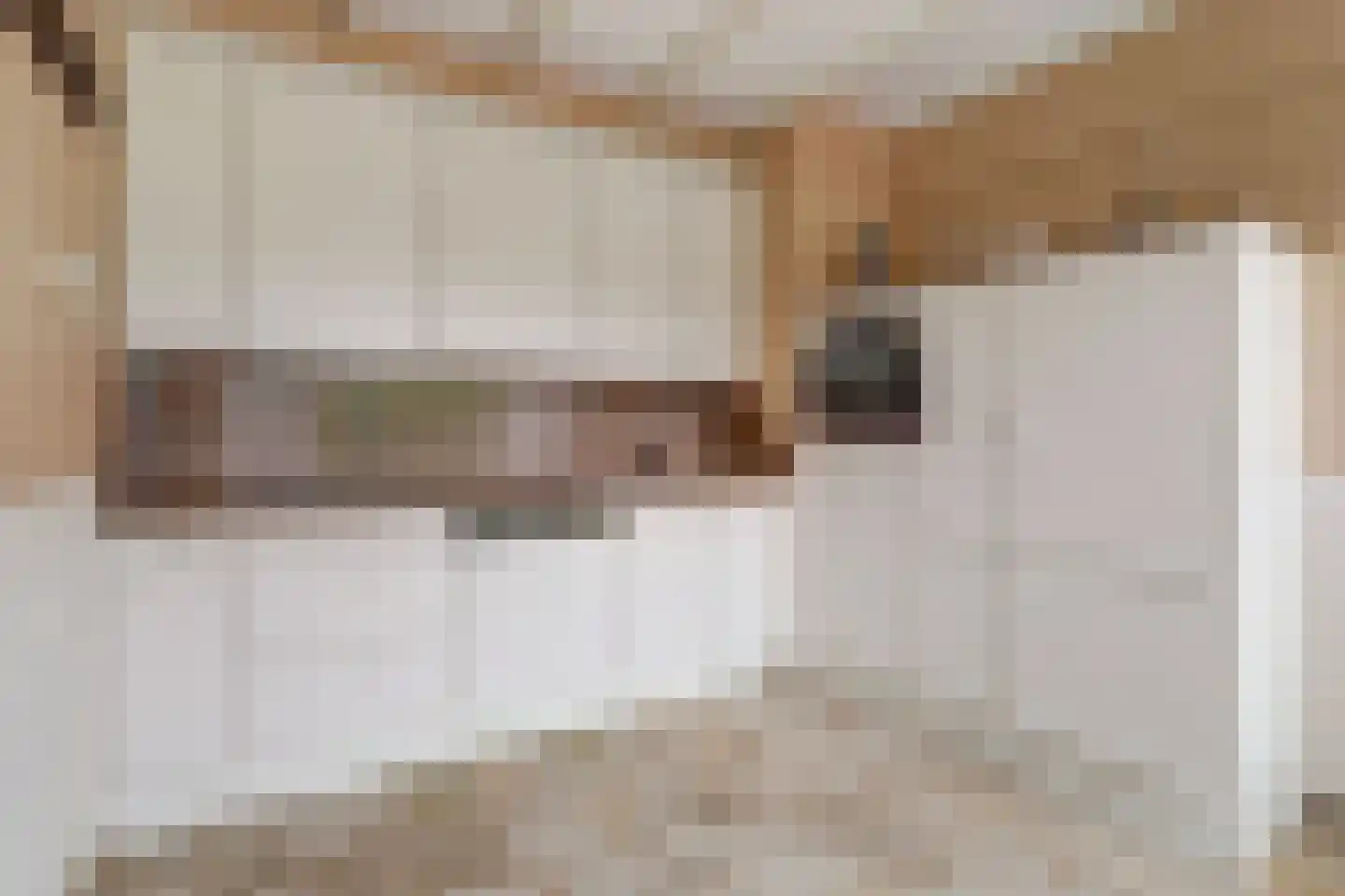 Burg. van Haarenstraat 6 Kerkdriel thumbnail 11