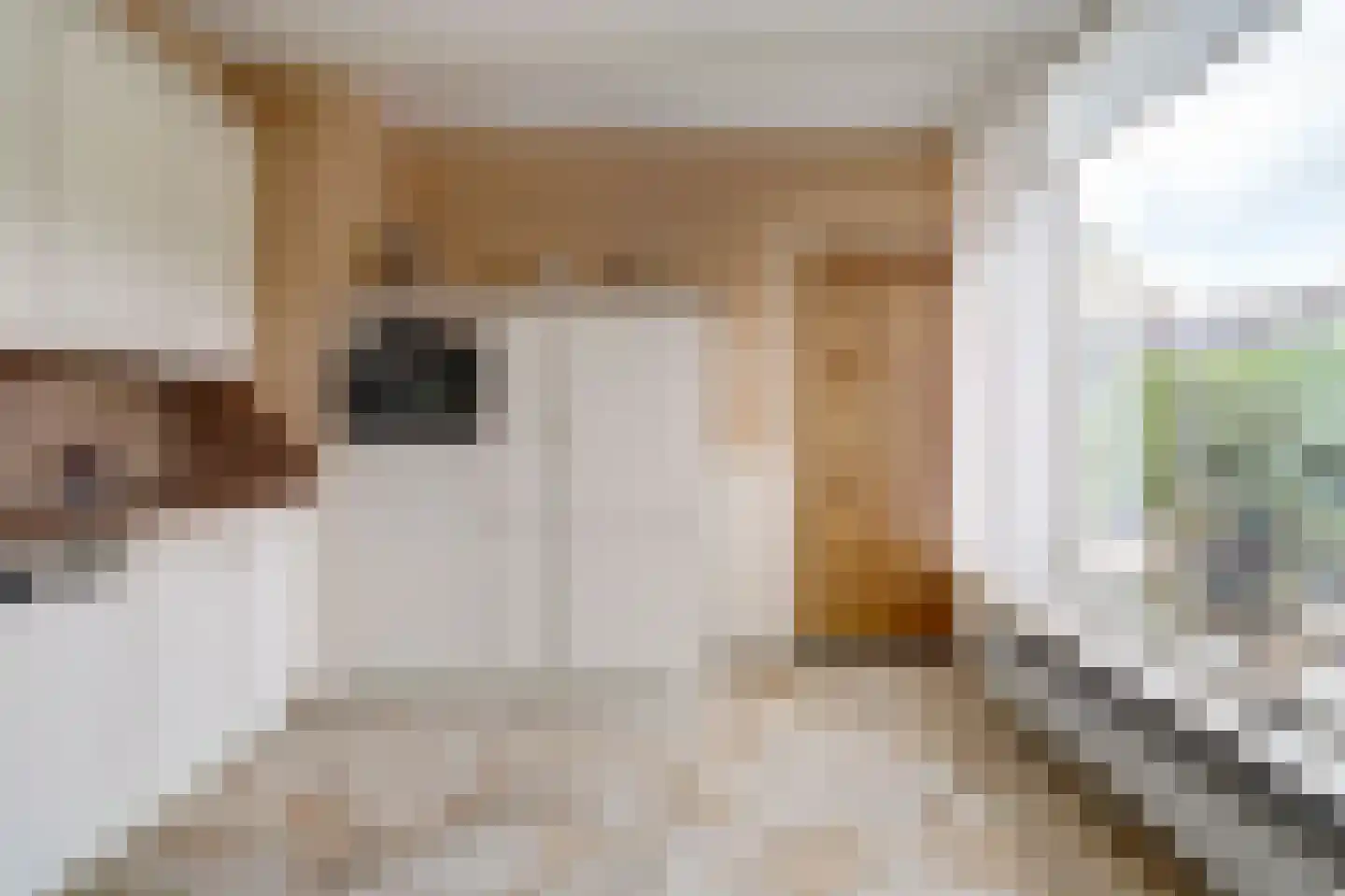 Burg. van Haarenstraat 6 Kerkdriel thumbnail 13