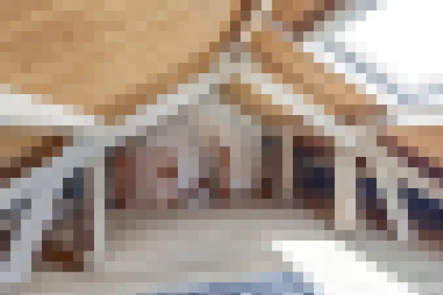 Burg. van Haarenstraat 6 Kerkdriel thumbnail 26