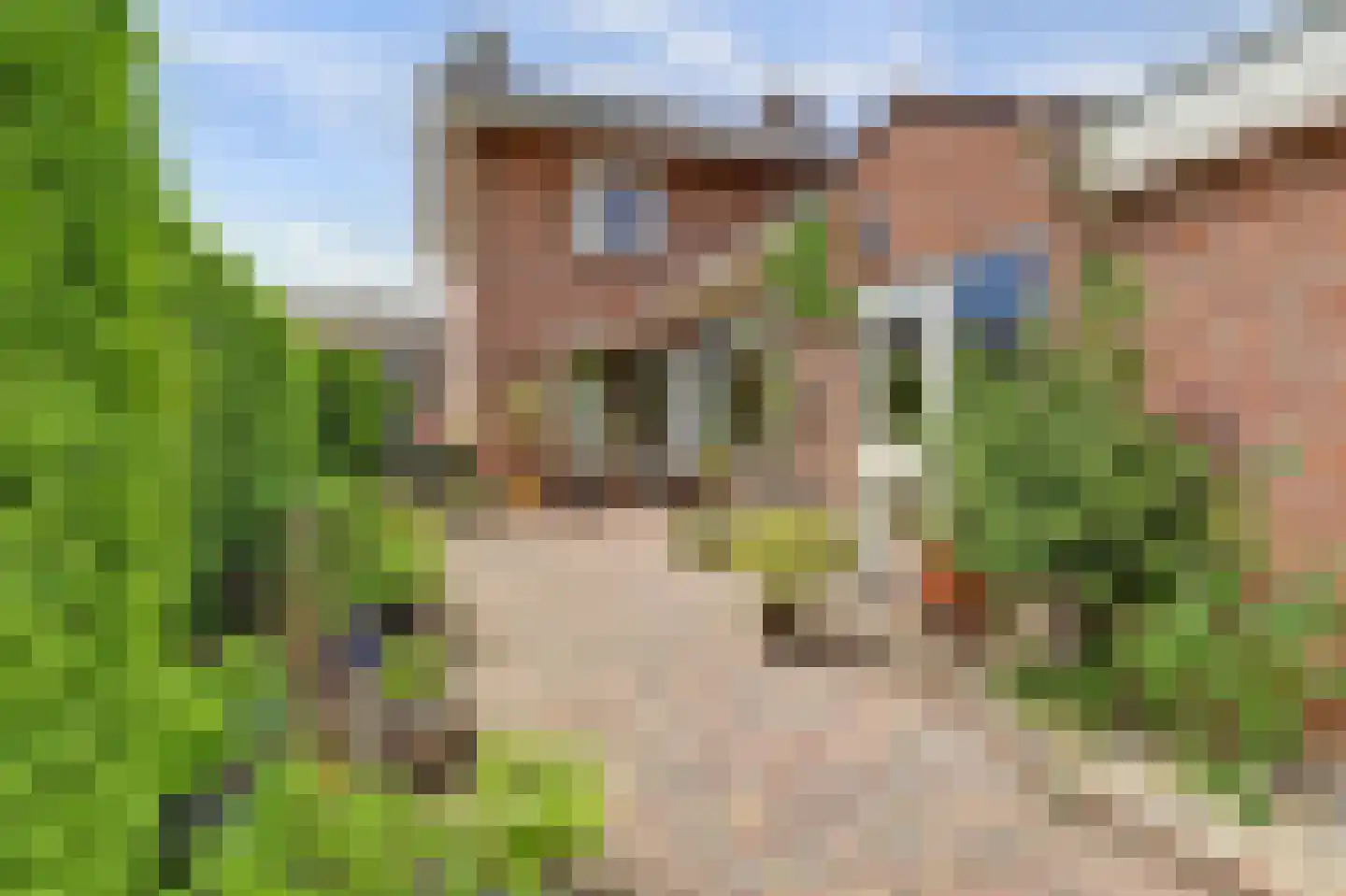 Burg. van Haarenstraat 6 Kerkdriel thumbnail 27