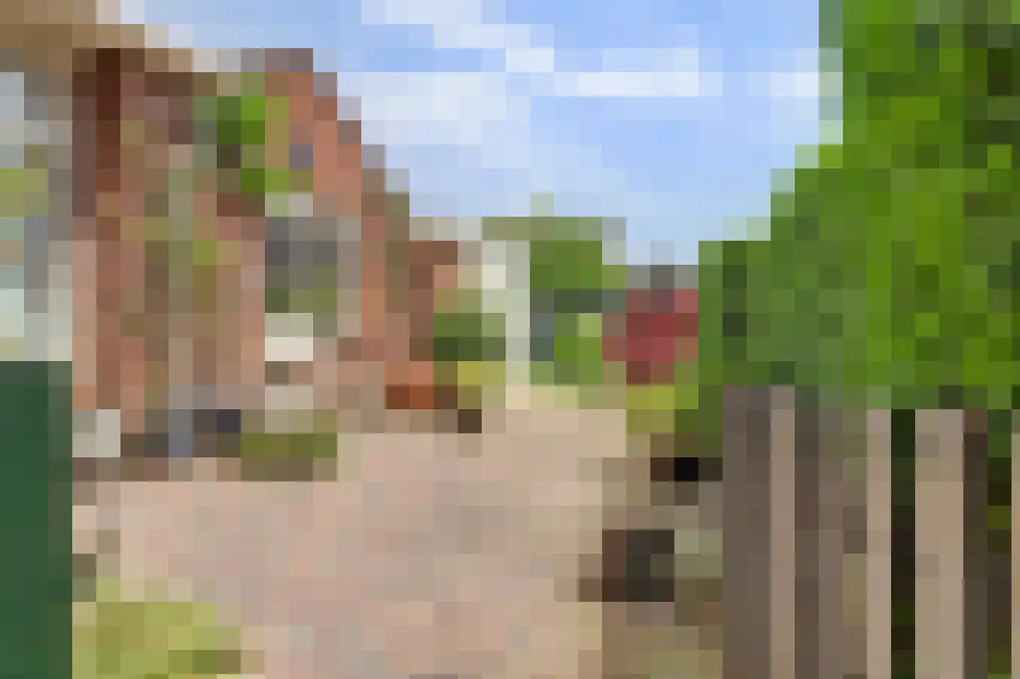 Burg. van Haarenstraat 6 Kerkdriel thumbnail 29