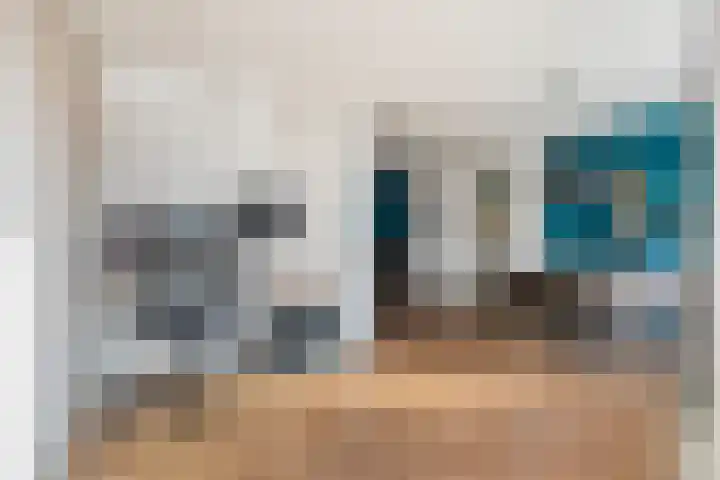Burg.van Haersoltestraat 55 Nieuwleusen thumbnail 16