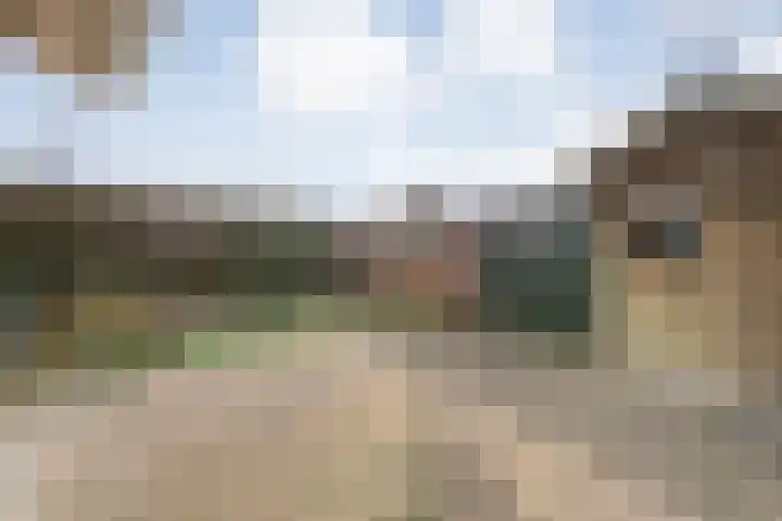 Burg.van Haersoltestraat 55 Nieuwleusen thumbnail 38