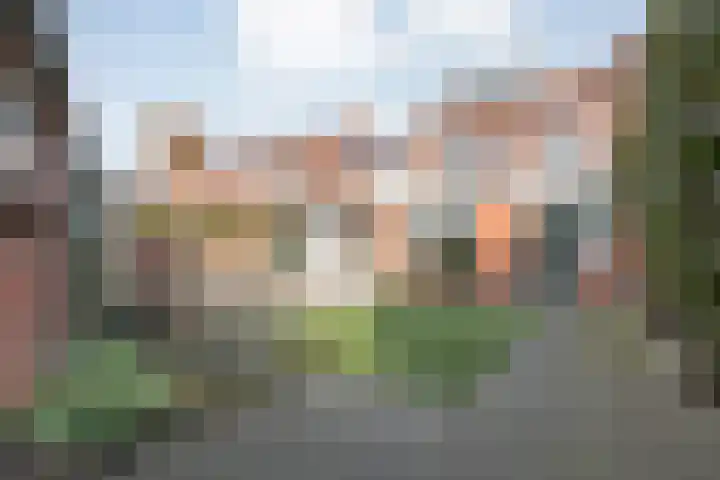Burg.van Haersoltestraat 55 Nieuwleusen thumbnail 39