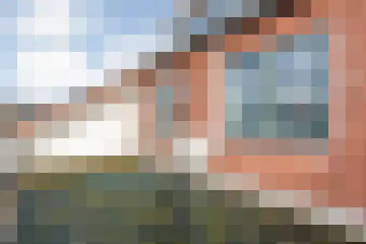 Burg.van Haersoltestraat 55 Nieuwleusen thumbnail 41