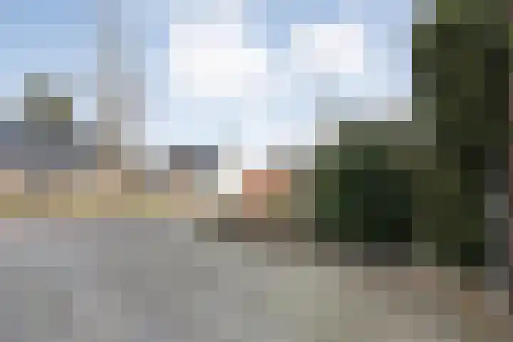 Burg.van Haersoltestraat 55 Nieuwleusen thumbnail 45