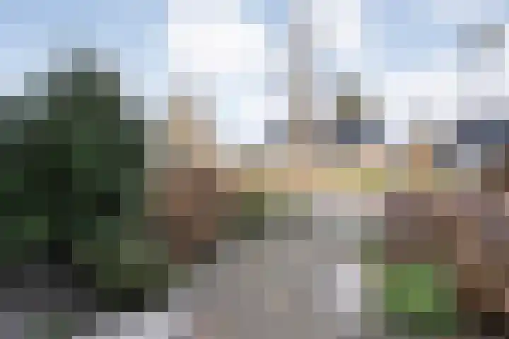Burg.van Haersoltestraat 55 Nieuwleusen thumbnail 46