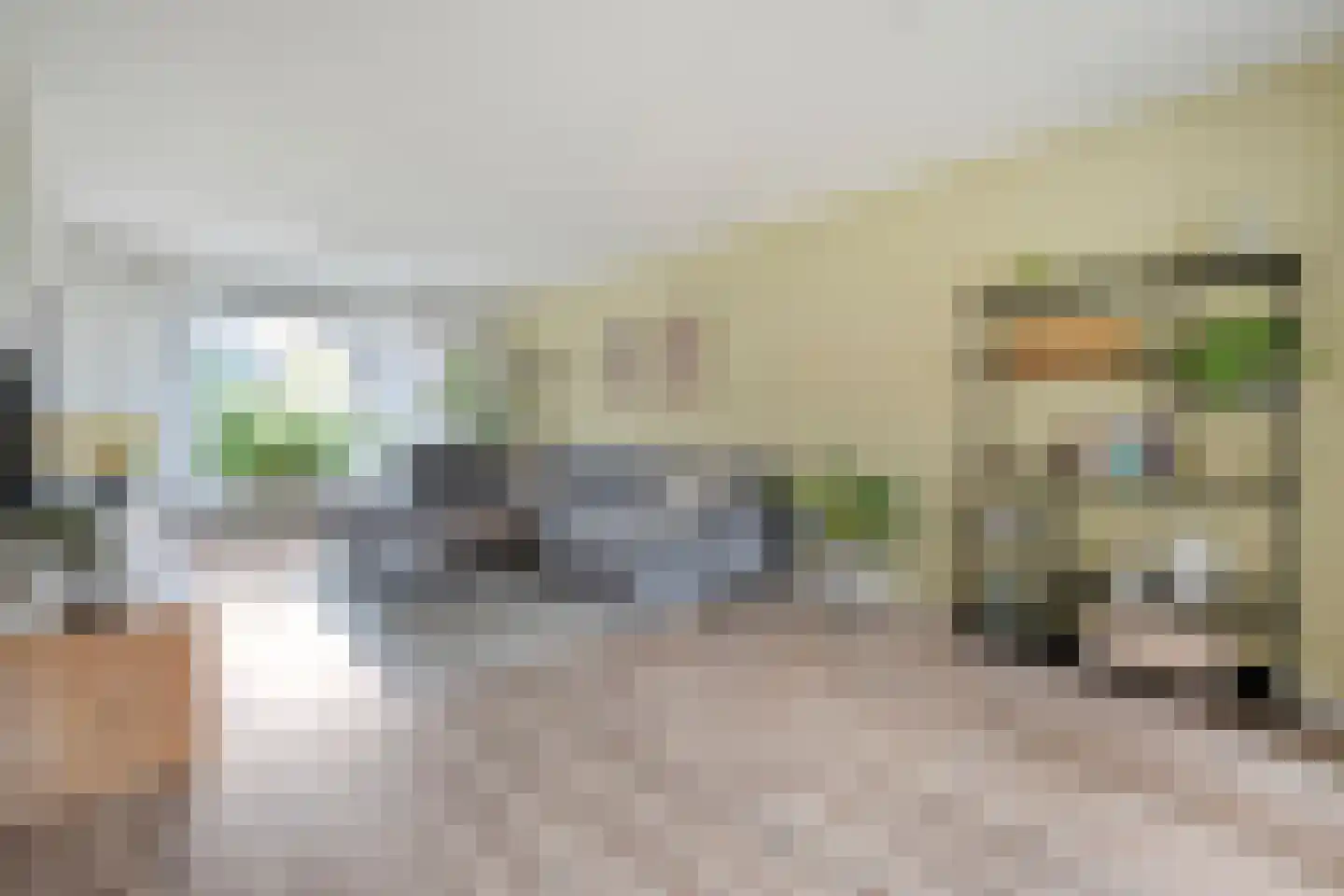 Burg.van Haersoltestraat 9 Nieuwleusen thumbnail 10
