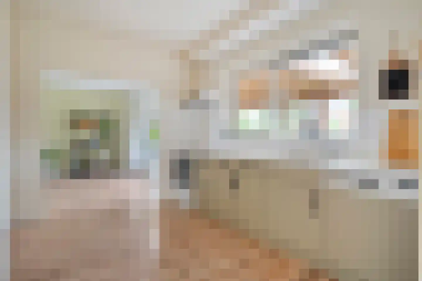 Burg.van Haersoltestraat 9 Nieuwleusen thumbnail 12