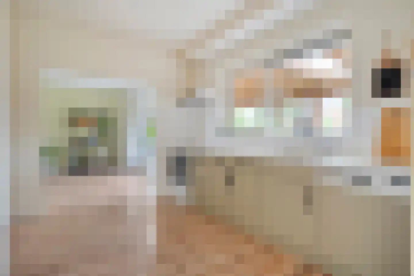 Burg.van Haersoltestraat 9 Nieuwleusen thumbnail 12