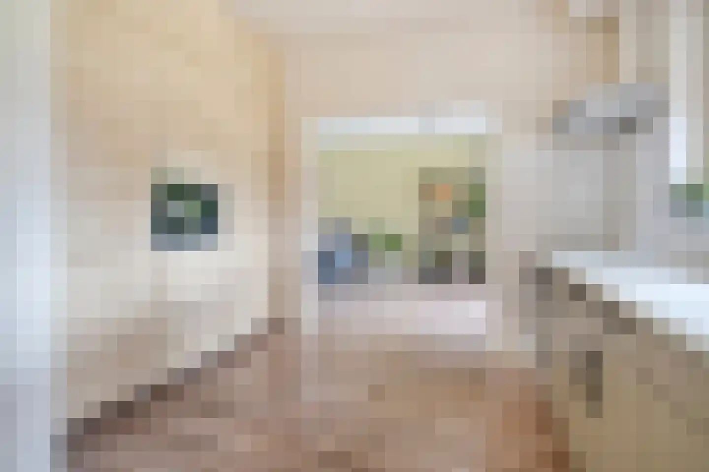 Burg.van Haersoltestraat 9 Nieuwleusen thumbnail 13