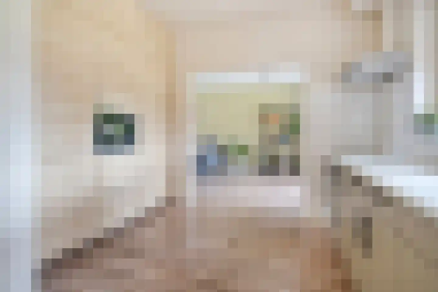 Burg.van Haersoltestraat 9 Nieuwleusen thumbnail 13