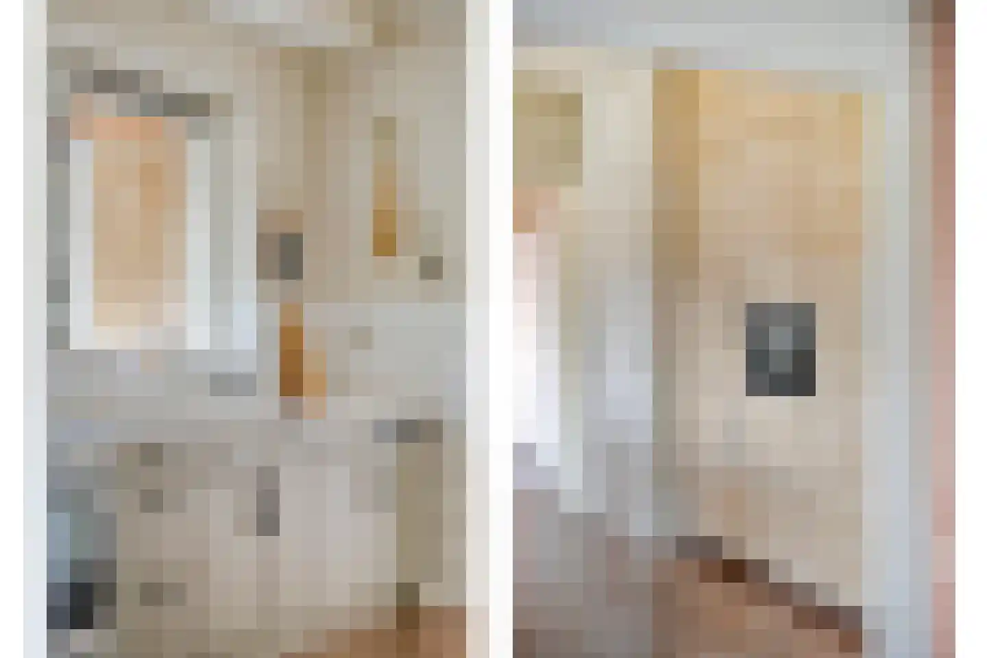 Burg.van Haersoltestraat 9 Nieuwleusen thumbnail 14